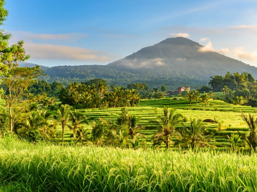 These are the top destinations Singaporeans want to visit this year according to their Google searches These are the top destinations Singaporeans want to visit this year according to their Google searches