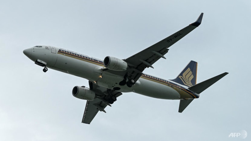 Man remanded over bomb threat on Singapore Airlines flight SQ33 hires lawyer, charge amended