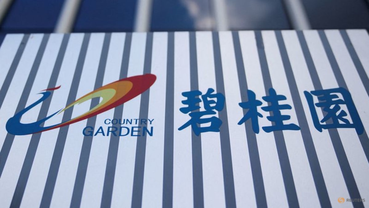 Country Garden undone by promise to bring 5-star life to China's hinterland: Analysis - Vimarsana News