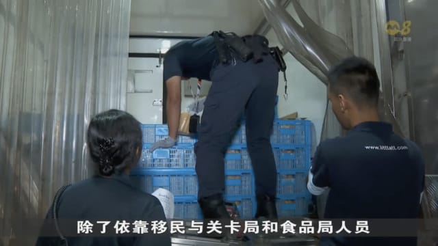 当局在两天内 起获从马国进口1.1公吨走私蔬果
