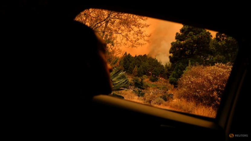 Thousands evacuated as wildfire on Spain's Tenerife island rages on