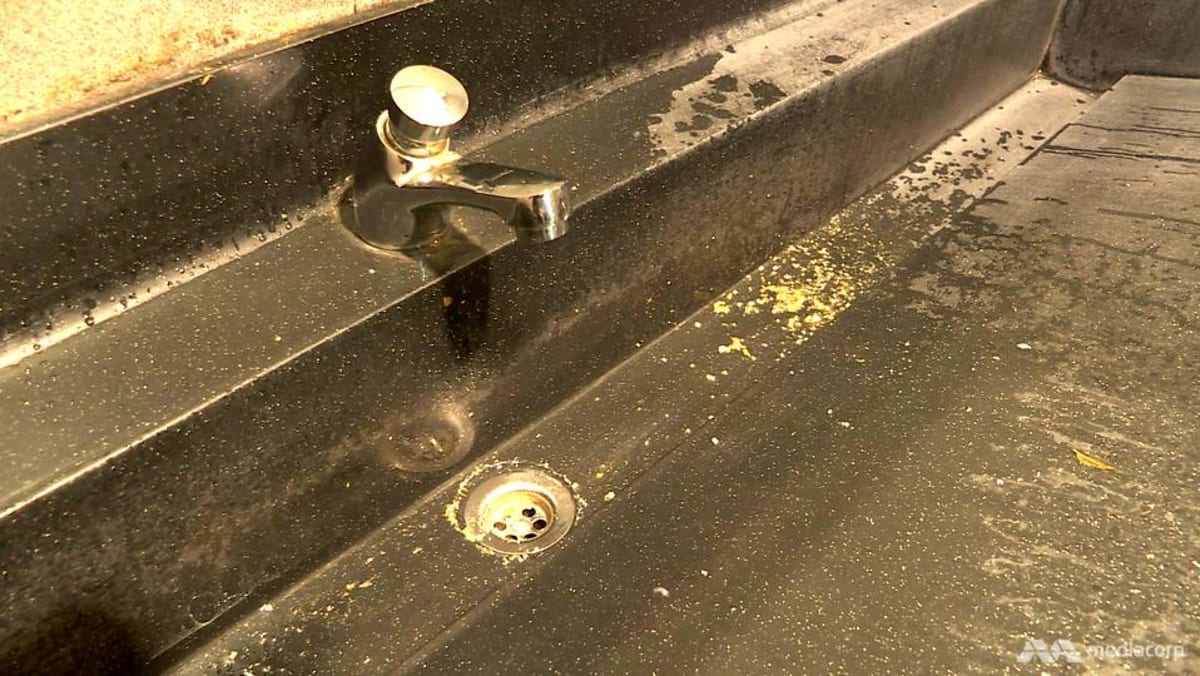 Drink Water From A Public Toilet Singapore S Taps Put To The Test Cna
