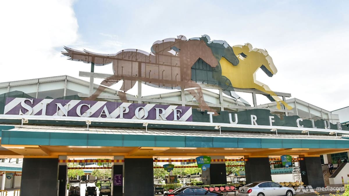 Singapore Turf Club to reopen to live spectators for the first time in 2  years - CNA