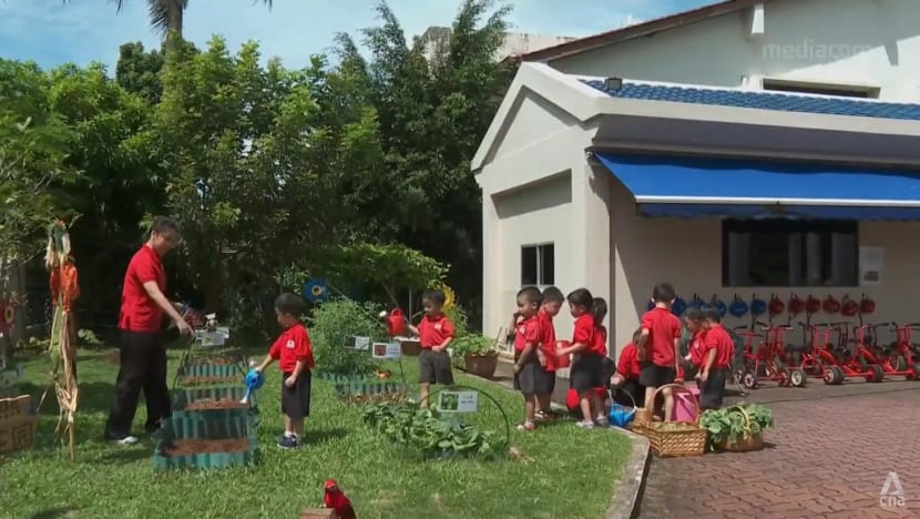 Pre-schools in Singapore sowing seeds of sustainability in their pupils