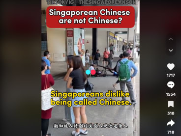 A screen grab of the TikTok video published by user “The Singaporean Son”, which claimed that Singaporeans dislike being called Chinese.