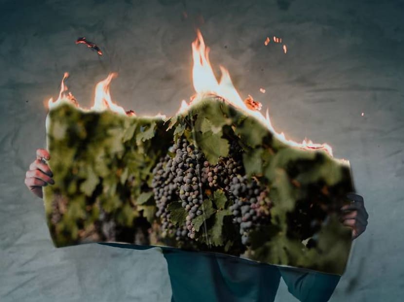 How the Australian bushfires have impacted the country’s wine industry How the Australian bushfires have impacted the country’s wine industry