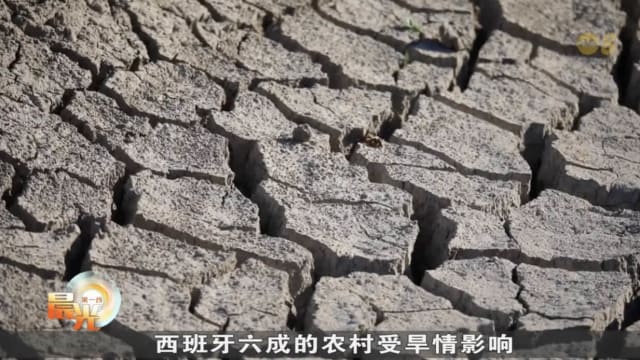 西班牙或出现摄氏40度破纪录高温 农民面临严峻旱情