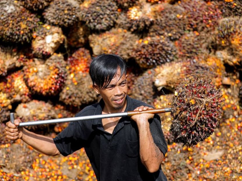 FILE PHOTO: Worker loads palm oil fresh fruit bunches to be transported from the collector site to CPO factories in Pekanbaru, Riau province, Indonesia, April 27, 2022. REUTERS/Willy Kurniawan/File Photo