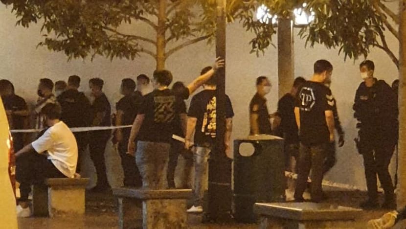 11 men arrested near Central Mall for affray, disorderly behaviour in late night brawl