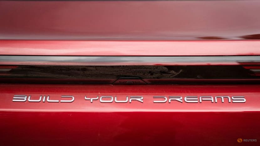Chinese EV maker BYD to build Vietnam component plant: Sources Chinese EV maker BYD to build Vietnam component plant: Sources