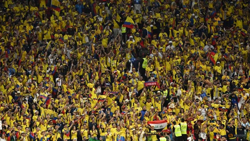 FIFA investigates Ecuador fans' homophobic chants FIFA investigates Ecuador fans' homophobic chants