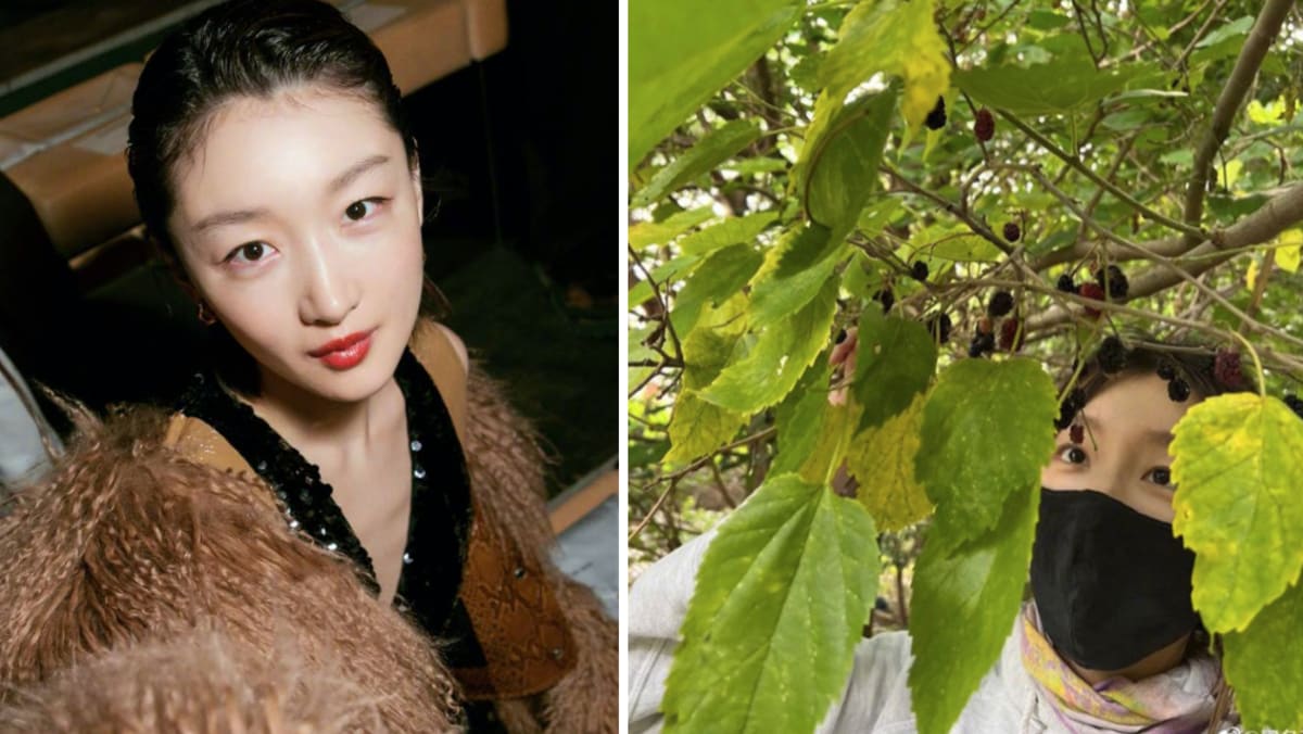 An Insider Claims Chinese Actress Zhou Dongyu Was Forced To Take