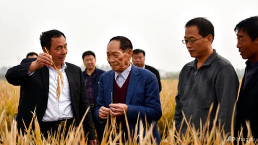 China's Yuan Longping, whose rice research helped feed the world, dies at 90 China's Yuan Longping, whose rice research helped feed the world, dies at 90