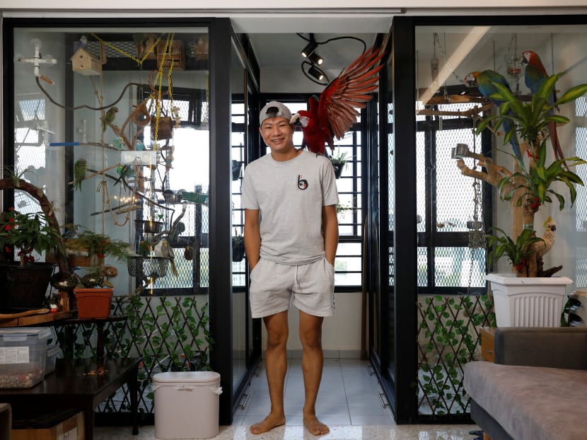 From sake bars to yacht cabins, Singaporeans remodel no-frills public flats From sake bars to yacht cabins, Singaporeans remodel no-frills public flats