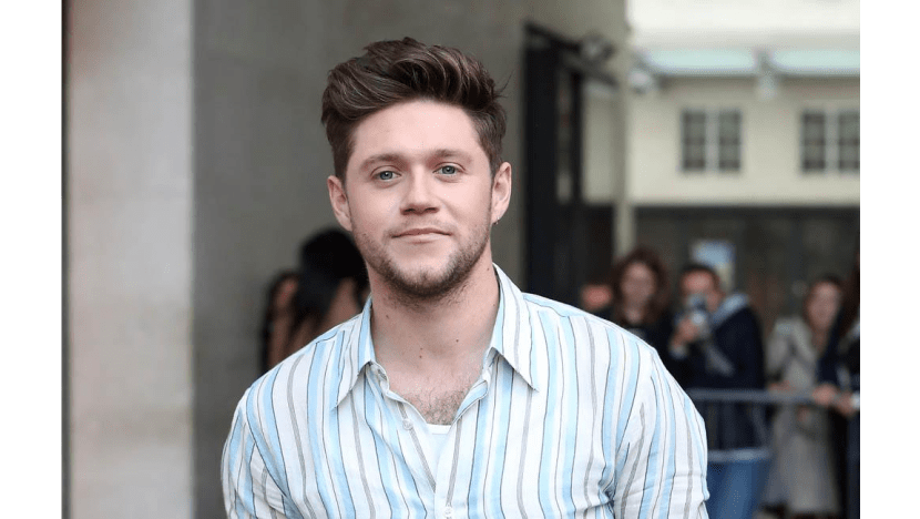 Niall Horan: 'One Direction would be stupid not to reform'