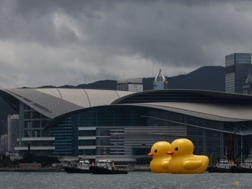 Florentijn Hofman's 'Rubber Duck' returns to Hong Kong — and now there are  two