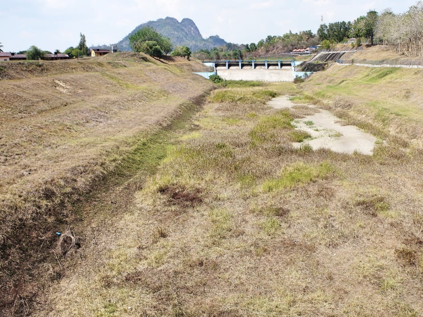 Grass at Timah Tasoh Dam, the sole dam in Perlis, dried up in the heat. The dam’s water level dropped dangerously low earlier this month, forcing residents to undergo water rationing. Photo: Sue-chern Looi