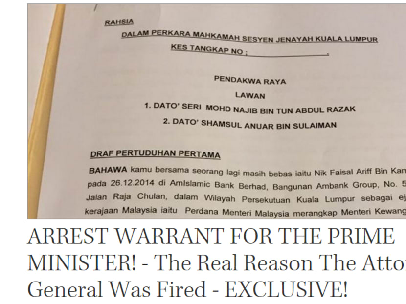 Screencap from the Sarawak Report's online article.