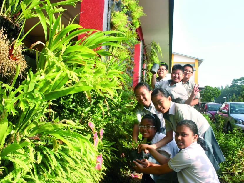 Vertical green wall at school helps fight global warming