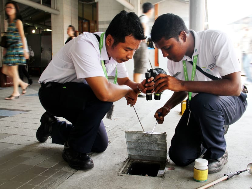 On duty with the NEA: Dengue Detectives
