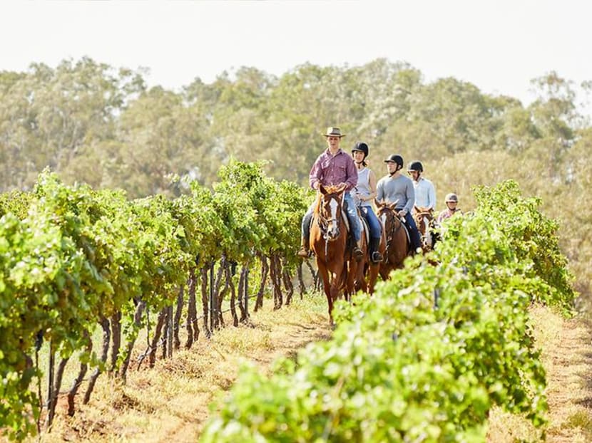 Oysters, kayaks, private jets: Unique tours for that future New South Wales escape