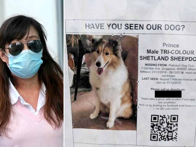 Charlotte Liew, the operator of pet hotel Platinium Dogs Club, at the State Courts in June 2021. Charlotte Liew, the operator of pet hotel Platinium Dogs Club, at the State Courts in June 2021.