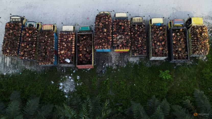 Indonesia has issued around 302,000 tonnes of palm oil export permits: Official