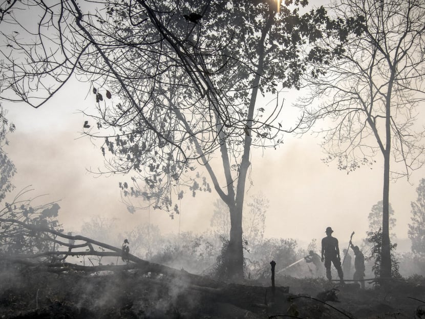 Indonesian police spray water on a peatland fire in Kampar, Riau province on the Indonesian island of Sumatra September 20, 2015 in this photo taken by Antara Foto. Photo: Reuters