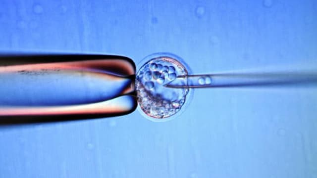 符条件人工受孕夫妇 胚胎植入前基因检测可获部分津贴