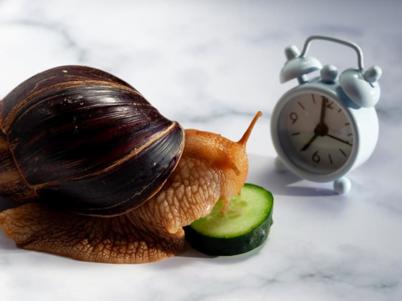 Are you a fast or slow eater? How does this affect your weight and overall health?