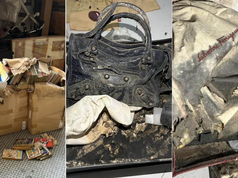 How did S$16,000 worth of luxury bags and clothes become mouldy inside a storage facility?