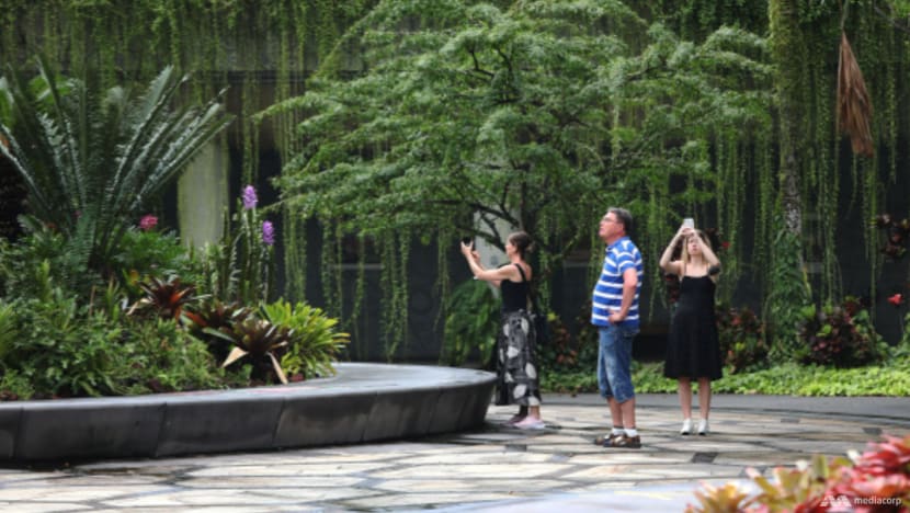 The Big Read: Fancy spending weeks on a tropical island? Singapore aims to shed 'stopover' tag amid tourism market shifts The Big Read: Fancy spending weeks on a tropical island? Singapore aims to shed 'stopover' tag amid tourism market shifts