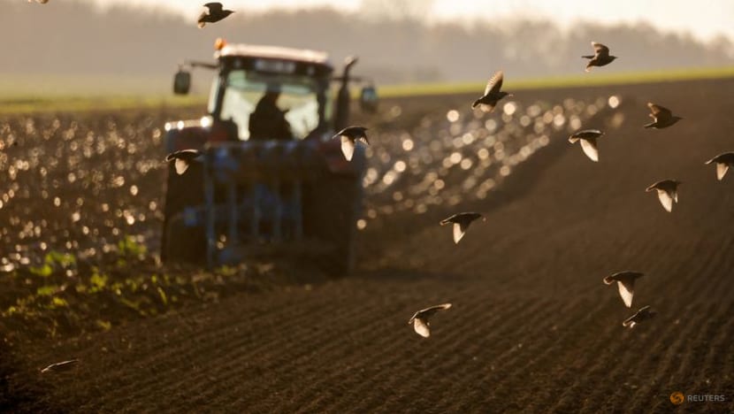 World food prices hit 10-year high in 2021 World food prices hit 10-year high in 2021