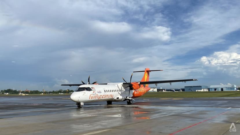 Seletar Airport reopens to first commercial flights since COVID-19