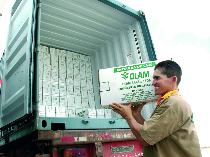 An Olam employee with boxes of nuts for export. The firm’s edible nuts business performed strongly in Q2. PHOTO: BLOOMBERG