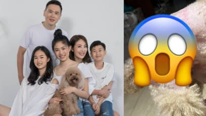 Taiwanese Model Janet Chia’s Poodle Brutally Attacked By Another Dog While Out On A Run