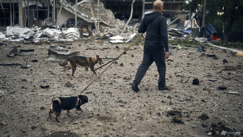 Almost one third of Ukraine needs to be cleared of ordnance, ministry says Almost one third of Ukraine needs to be cleared of ordnance, ministry says