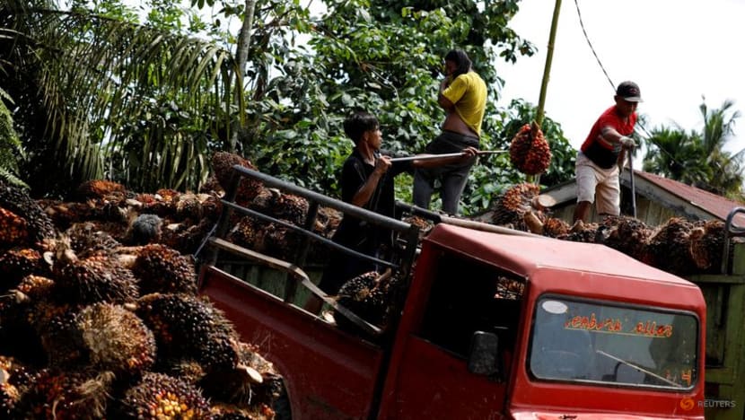 Indonesia palm oil industry urges gov't to ease export curbs as harvest to worsen oversupply Indonesia palm oil industry urges gov't to ease export curbs as harvest to worsen oversupply