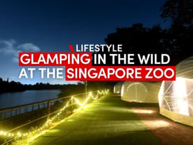 Sneak peek: Singapore Zoo’s Glamping In The Wild experience | CNA Lifestyle