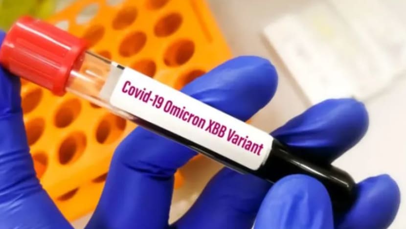 Subvarian Omicron XBB.1.5 sumbang hampir separuh jangkitan baru COVID-19 di AS Subvarian Omicron XBB.1.5 sumbang hampir separuh jangkitan baru COVID-19 di AS