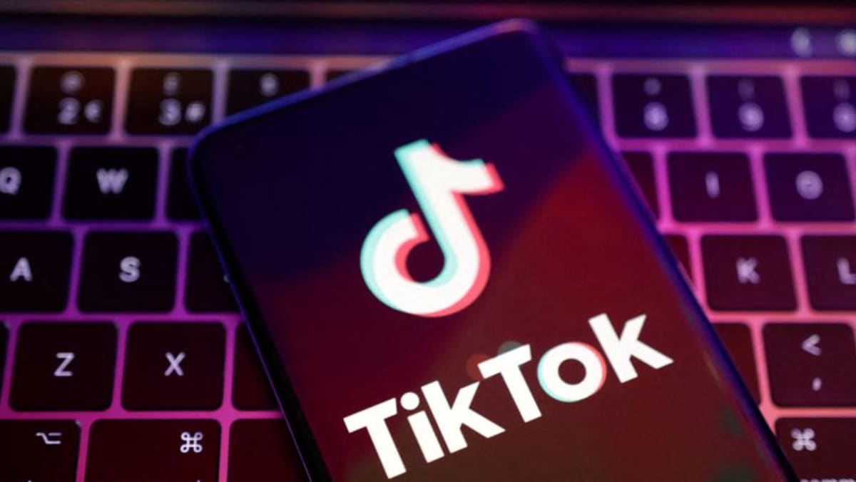 TikTok's chief to testify before Congress in March - WSJ