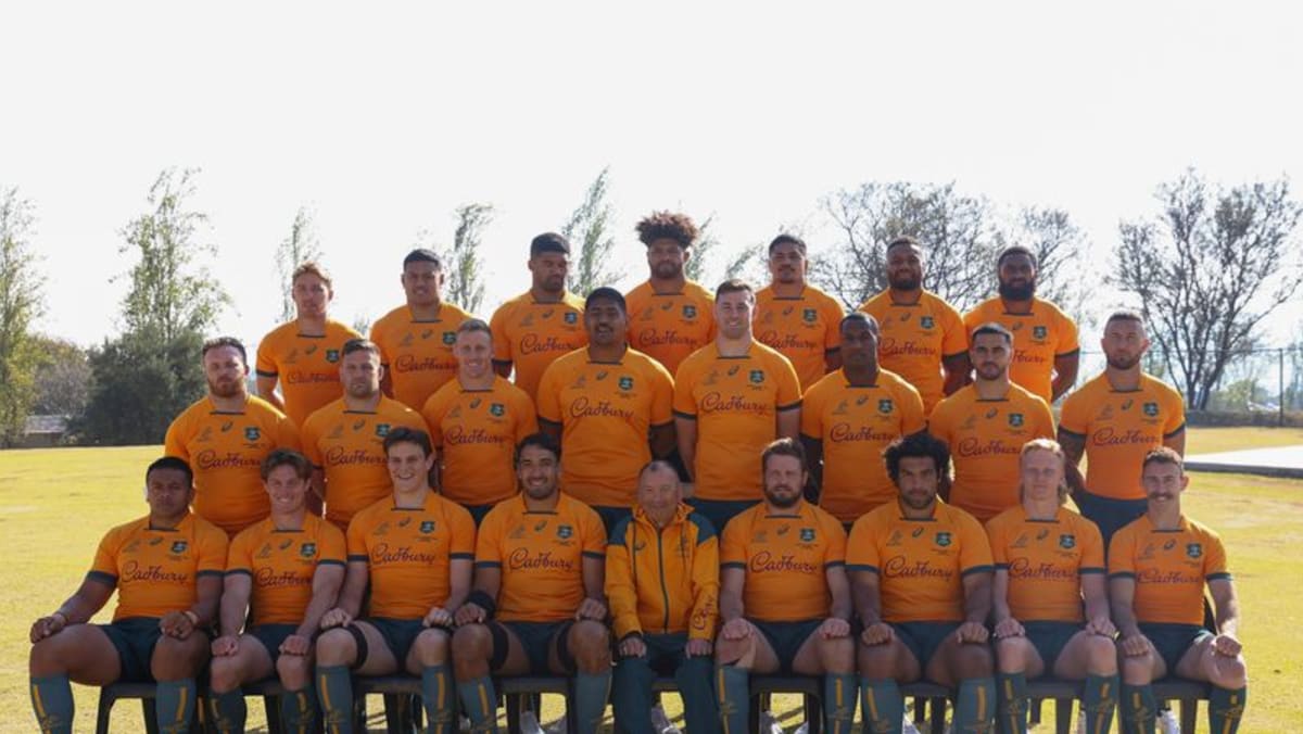 Schmidt era opens with Wallabies hosting Wales, Georgia in July