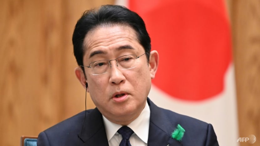 Japan PM says security balance 'difficult' after attack