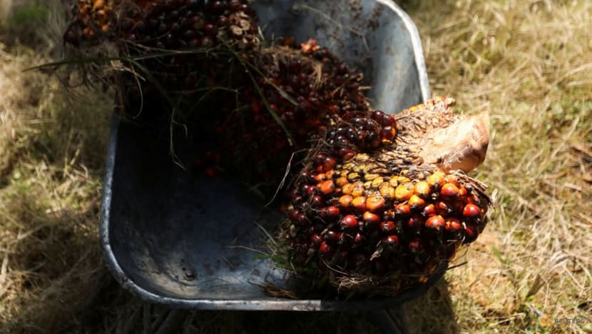 Malaysia's end-May palm oil stocks seen rising as output hits 5-month high