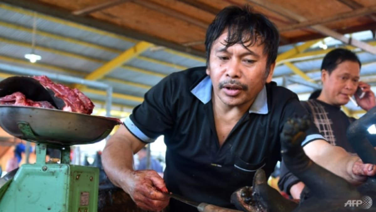 ‘Extreme’ Indonesian market ends dog, cat meat trade