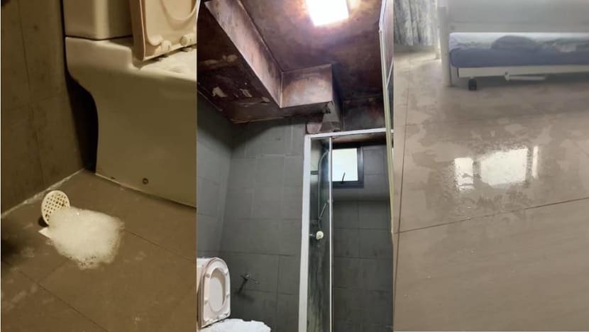 Online claims about lack of action on alleged leaks, water contamination in DBSS flat ‘untrue’: HDB Online claims about lack of action on alleged leaks, water contamination in DBSS flat ‘untrue’: HDB