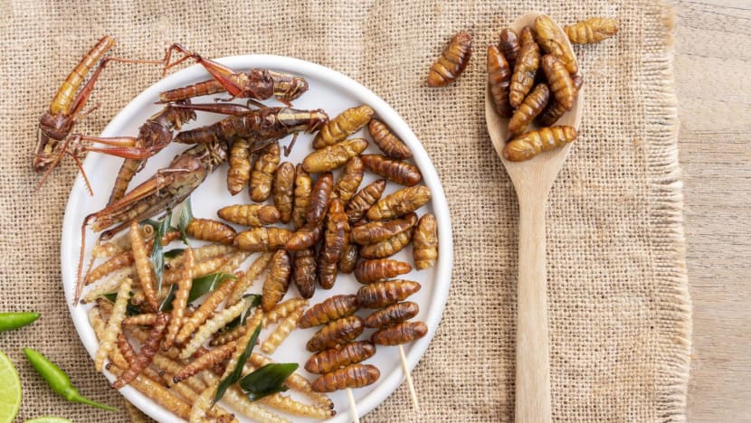 SFA reviews 16 insect species for human consumption; seeks feedback on import conditions