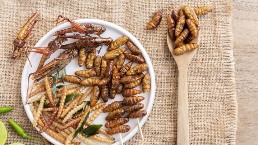 SFA reviews 16 insect species for human consumption; seeks feedback on import conditions SFA reviews 16 insect species for human consumption; seeks feedback on import conditions