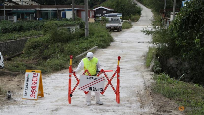 China bans South Korea pig imports on swine fever fears China bans South Korea pig imports on swine fever fears