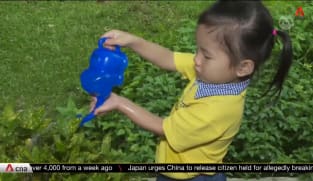 Tampines pre-school goes big on water conservation | Video
